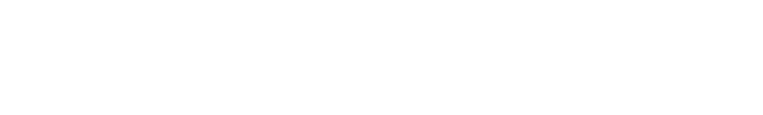 AVZ Cyber Security Solutions